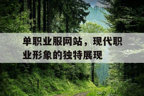 单职业服网站，现代职业形象的独特展现