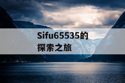 Sifu65535的探索之旅