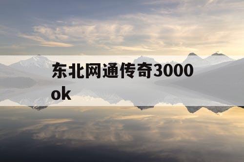 东北网通传奇3000ok