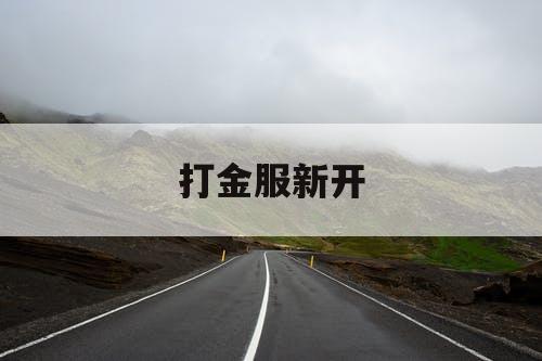 打金服新开