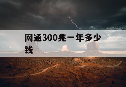 网通300兆一年多少钱