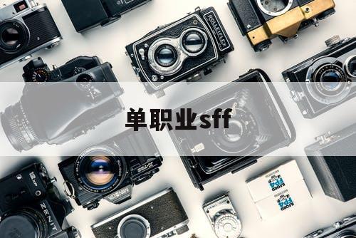 单职业sff