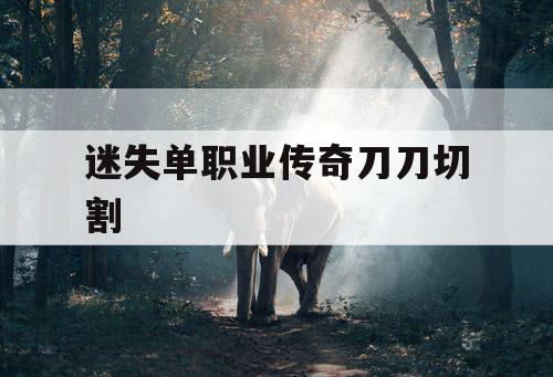 迷失单职业传奇刀刀切割