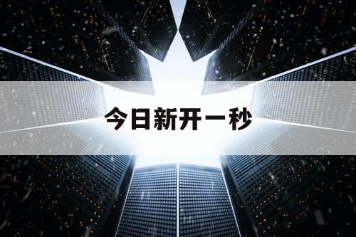 今日新开一秒
