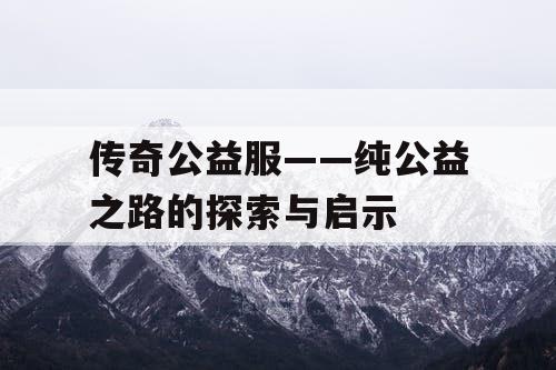 传奇公益服——纯公益之路的探索与启示