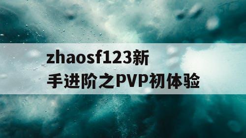 zhaosf123新手进阶之PVP初体验