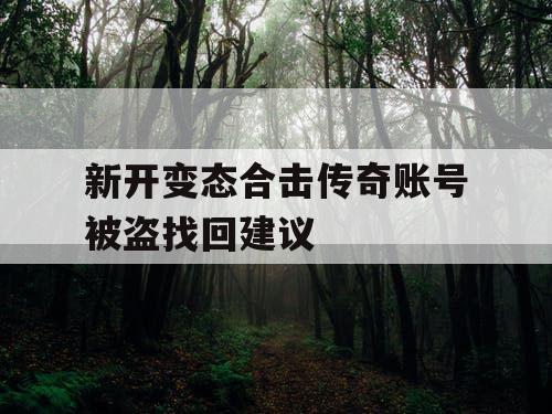 新开变态合击传奇账号被盗找回建议