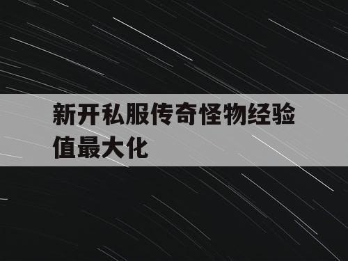 新开私服传奇怪物经验值最大化