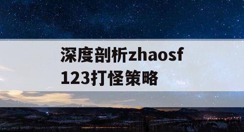 深度剖析zhaosf123打怪策略