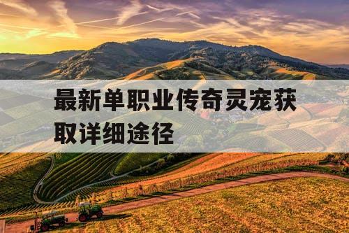 最新单职业传奇灵宠获取详细途径