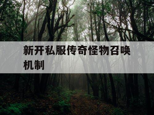 新开私服传奇怪物召唤机制