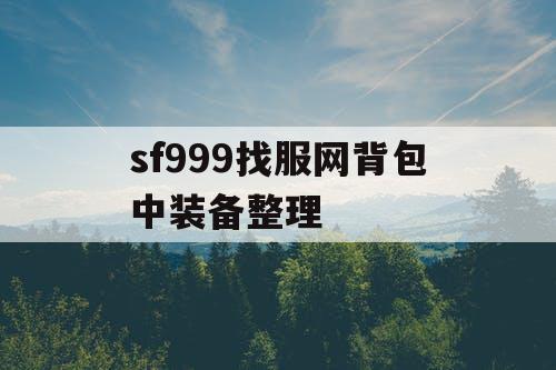 sf999找服网背包中装备整理