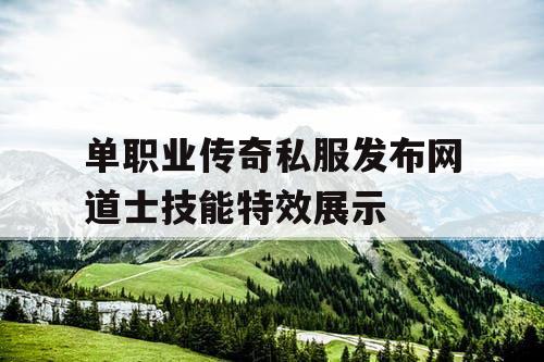 单职业传奇私服发布网道士技能特效展示
