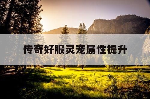 传奇好服灵宠属性提升