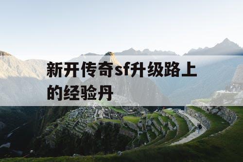 新开传奇sf升级路上的经验丹