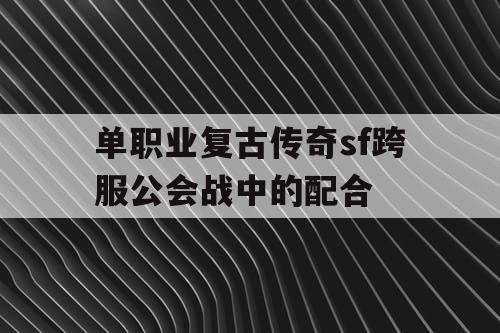 单职业复古传奇sf跨服公会战中的配合