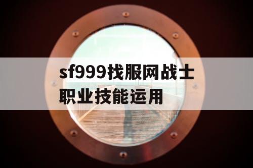 sf999找服网战士职业技能运用
