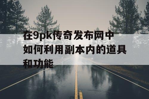 在9pk传奇发布网中如何利用副本内的道具和功能