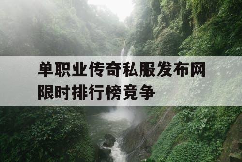 单职业传奇私服发布网限时排行榜竞争