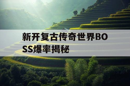 新开复古传奇世界BOSS爆率揭秘