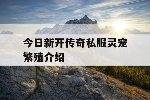 今日新开传奇私服灵宠繁殖介绍
