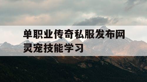 单职业传奇私服发布网灵宠技能学习