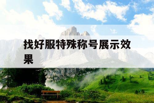 找好服特殊称号展示效果