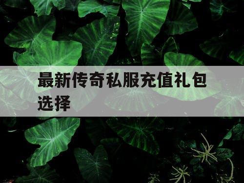 最新传奇私服充值礼包选择