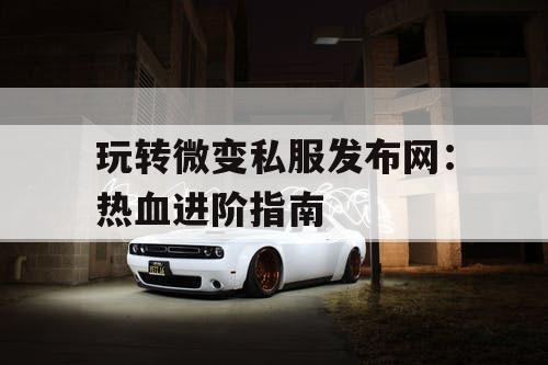 玩转微变私服发布网：热血进阶指南