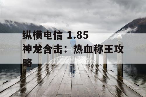 纵横电信 1.85 神龙合击：热血称王攻略