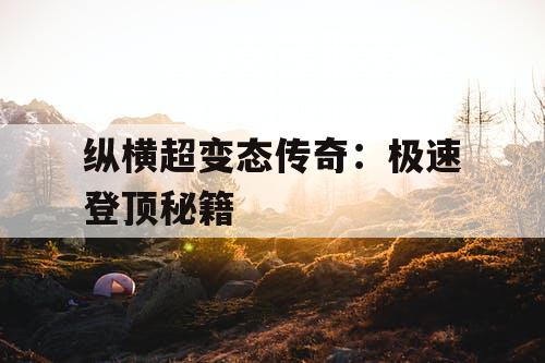 纵横超变态传奇：极速登顶秘籍