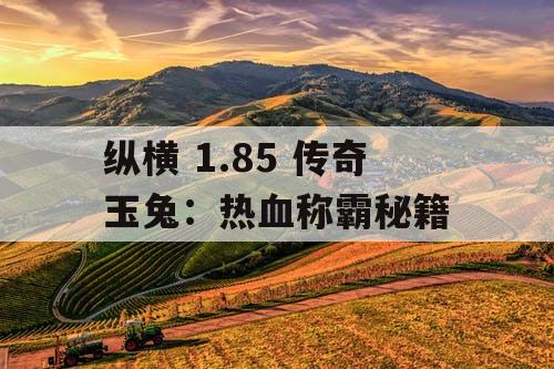 纵横 1.85 传奇玉兔：热血称霸秘籍
