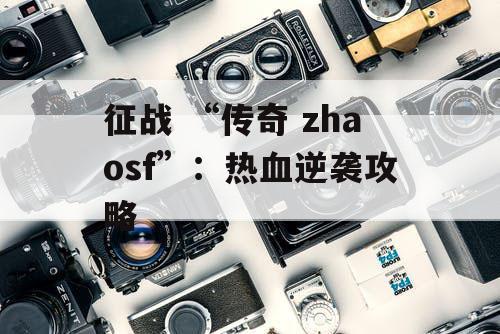 征战 “传奇 zhaosf”：热血逆袭攻略