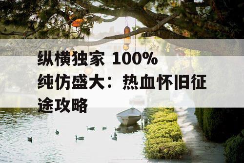 纵横独家 100% 纯仿盛大：热血怀旧征途攻略
