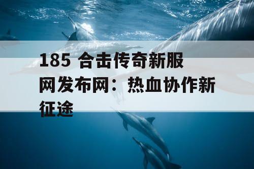 185 合击传奇新服网发布网：热血协作新征途