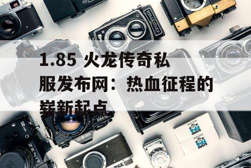 1.85 火龙传奇私服发布网：热血征程的崭新起点