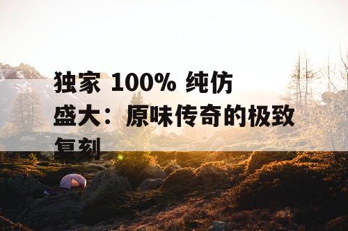 独家 100% 纯仿盛大：原味传奇的极致复刻
