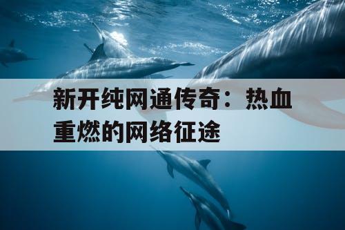 新开纯网通传奇：热血重燃的网络征途