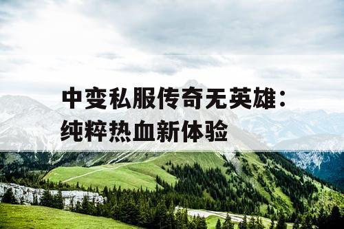 中变私服传奇无英雄：纯粹热血新体验