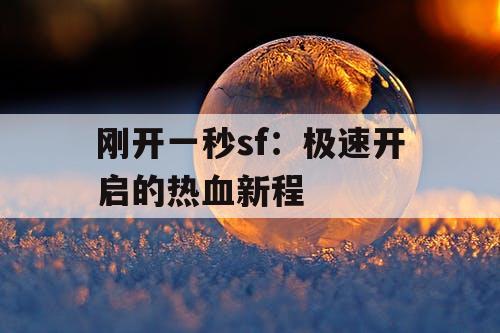 刚开一秒sf：极速开启的热血新程