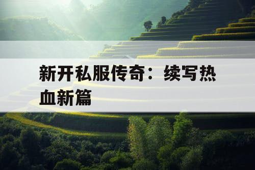新开私服传奇：续写热血新篇