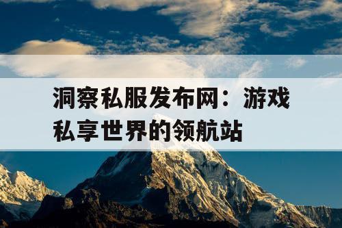 洞察私服发布网：游戏私享世界的领航站
