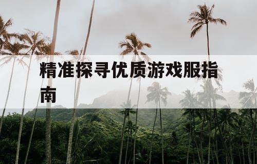 精准探寻优质游戏服指南