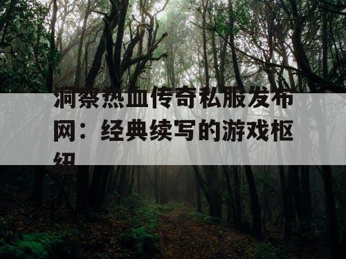 洞察热血传奇私服发布网：经典续写的游戏枢纽