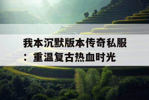 我本沉默版本传奇私服：重温复古热血时光