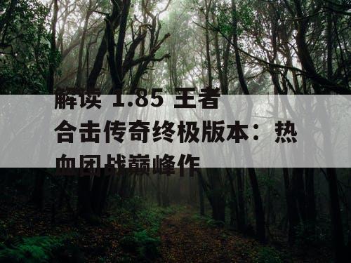 解读 1.85 王者合击传奇终极版本：热血团战巅峰作