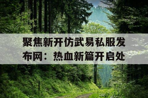 聚焦新开仿武易私服发布网：热血新篇开启处