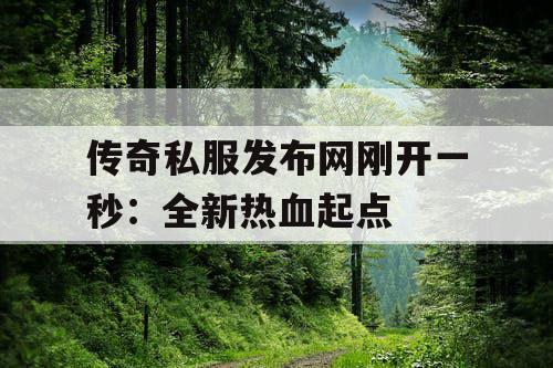 传奇私服发布网刚开一秒：全新热血起点