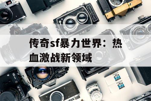 传奇sf暴力世界：热血激战新领域