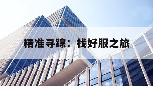 精准寻踪：找好服之旅